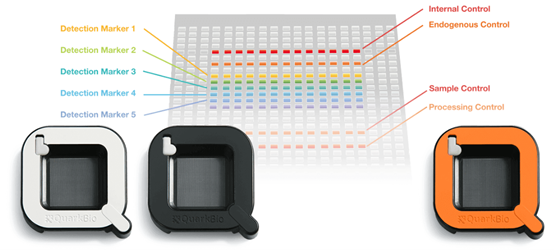 PanelChip ® Multigenetic Testing and Analysis Chip (Image source: Quark Biosciences’ official website)